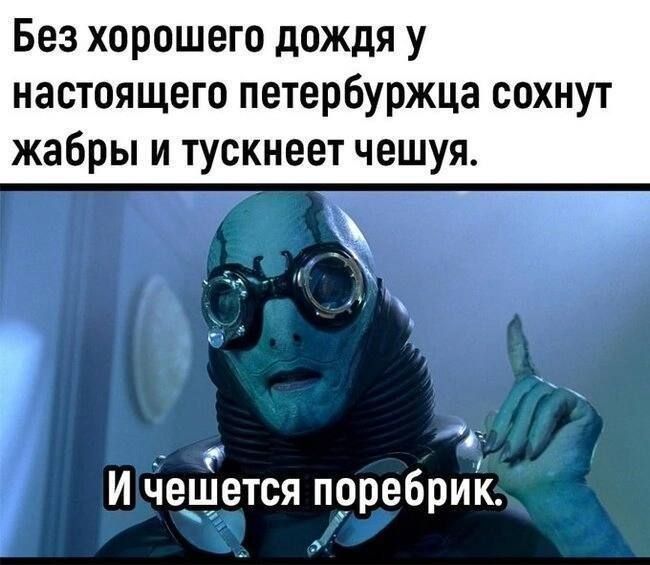 Без хорошего дождя у настоящего петербуржца сохнут жабры и тускнеет чешуя. И чешется поребрик.