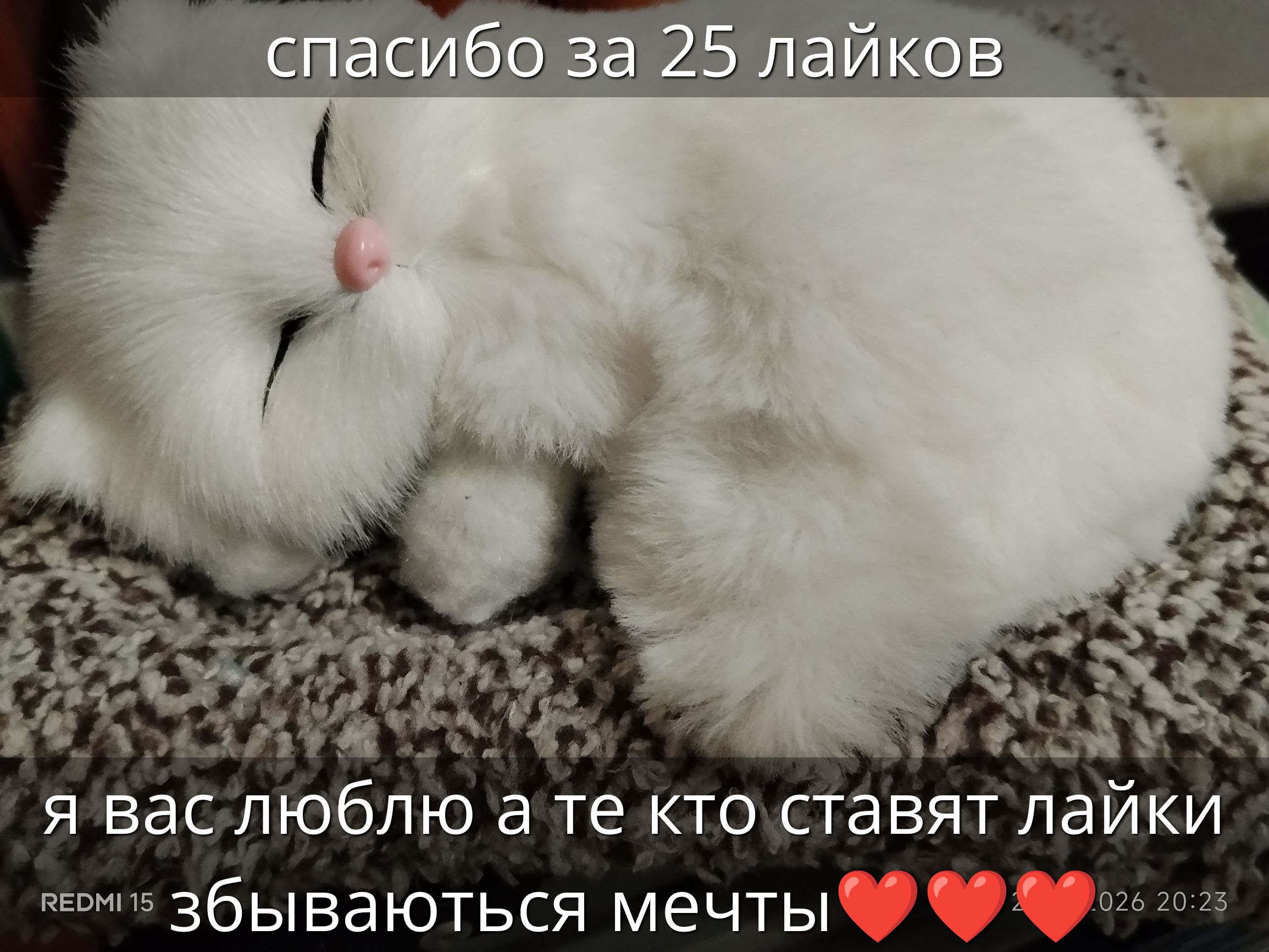 спасибо за 25 лайков я вас люблю а те кто ставят лайки збываются мечты