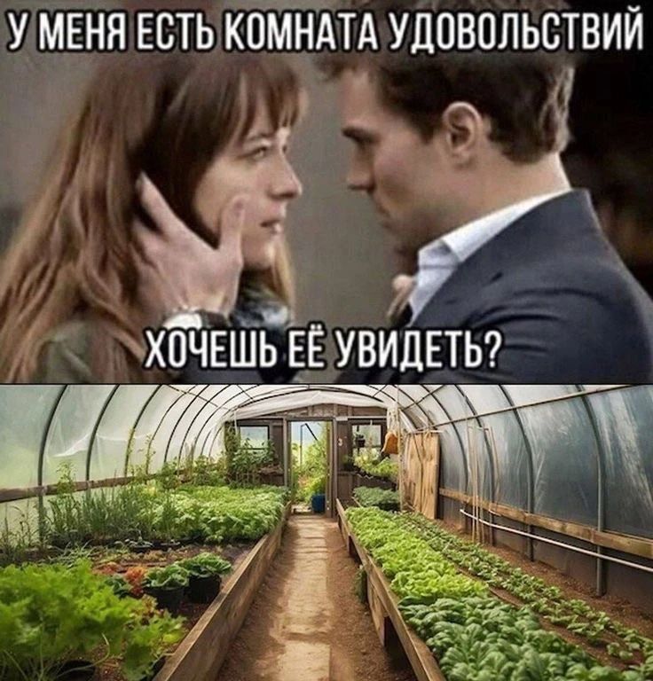 У меня есть комната удовольствий. Хочешь её увидеть?