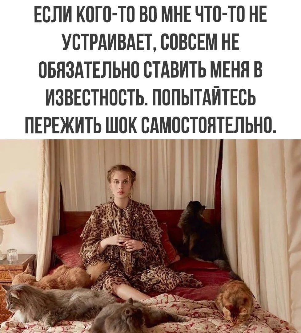Если кого-то во мне что-то не устраивает, совсем не обязательно ставить меня в известность. Попытайтесь пережить шок самостоятельно.