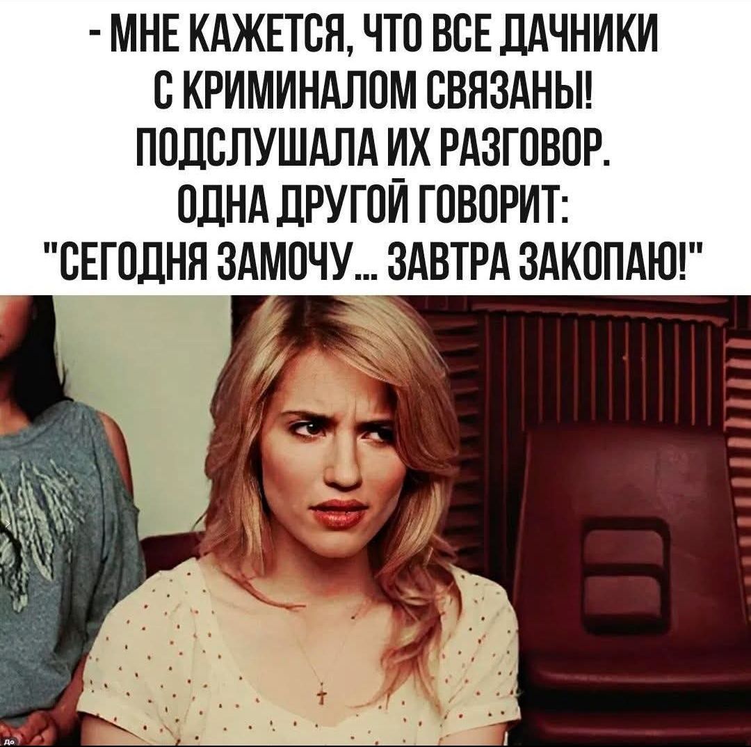 - МНЕ КАЖЕТСЯ, ЧТО ВСЕ ДАЧНИКИ С КРИМИНАЛОМ СВЯЗАНЫ! ПОДСЛУШАЛА ИХ РАЗГОВОР. ОДНА ДРУГОЙ ГОВОРИТ: 