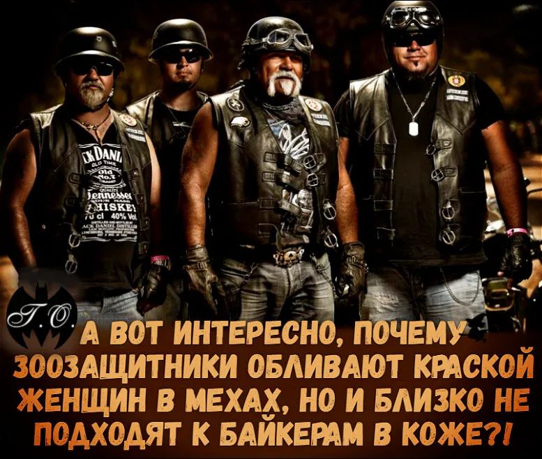 Т.О. А ВОТ ИНТЕРЕСНО, ПОЧЕМУ ЗООЗАЩИТНИКИ ОБЛИВАЮТ КРАСКОЙ ЖЕНЩИН В МЕХАХ, НО И БЛИЗКО НЕ ПОДХОДЯТ К БАЙКЕРАМ В КОЖЕ?!