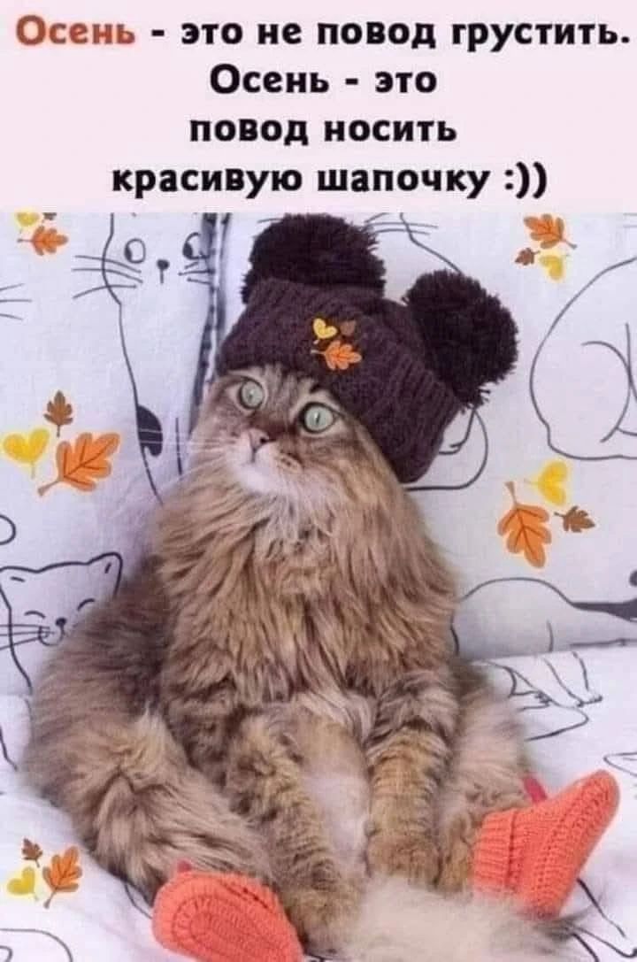 Осень - это не повод грустить. Осень - это повод носить красивую шапочку :))