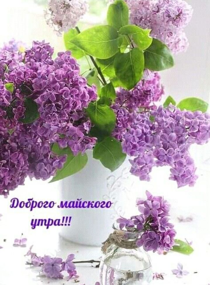 Доброго майского утра!!!