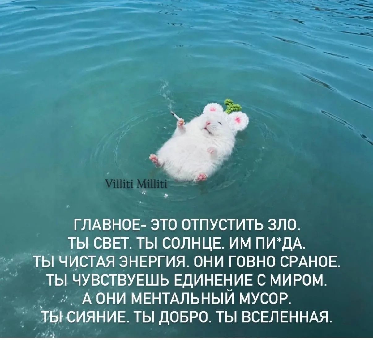 ГЛАВНОЕ- ЭТО ОТПУСТИТЬ ЗЛО. ТЫ СВЕТ. ТЫ СОЛНЦЕ. ИМ ПИ*ДА. ТЫ ЧИСТАЯ ЭНЕРГИЯ. ОНИ ГОВНО СРАНОЕ. ТЫ ЧУВСТВУЕШЬ ЕДИНЕНИЕ С МИРОМ. А ОНИ МЕНТАЛЬНЫЙ МУСОР. ТЫ СИЯНИЕ. ТЫ ДОБРО. ТЫ ВСЕЛЕННАЯ.