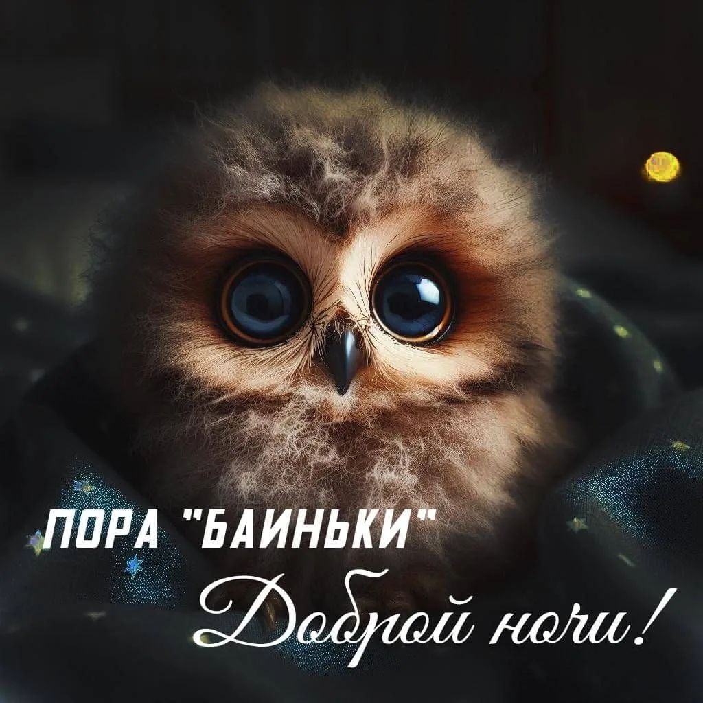 ПОРА 