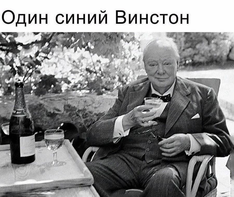 Один синий Винстон