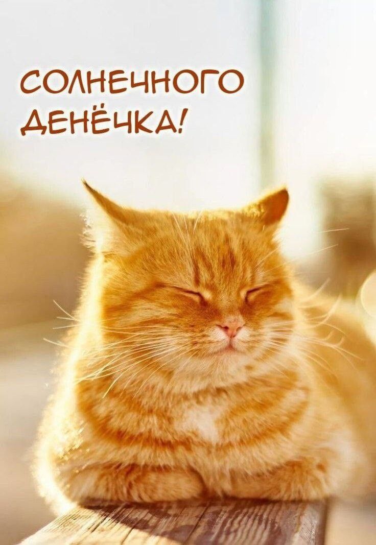 СОЛНЕЧНОГО ДЕНЁЧКА!