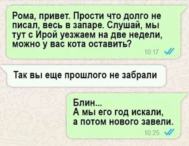 Рома, привет. Прости что долго не писал, весь в запаре. Слушай, мы тут с Ирой уезжаем на две недели, можно у вас кота оставить? 10:17 
 Так вы еще прошлого не забрали 
 Блин... А мы его год искали, а потом нового завели. 10:25