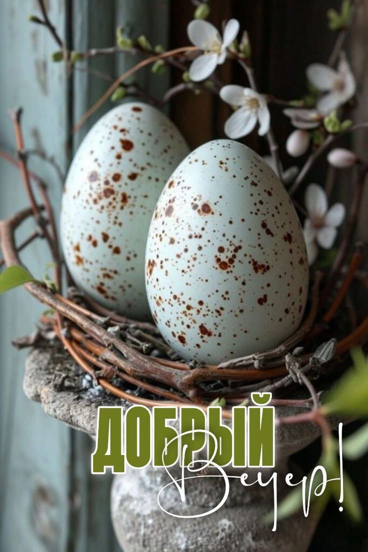 ДОБРЫЙ Вечер!