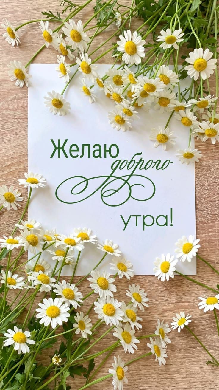 Желаю доброго утра!