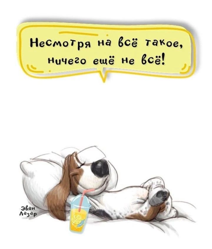 Несмотря на всё такое, ничего ещё не всё! Эван Лазар