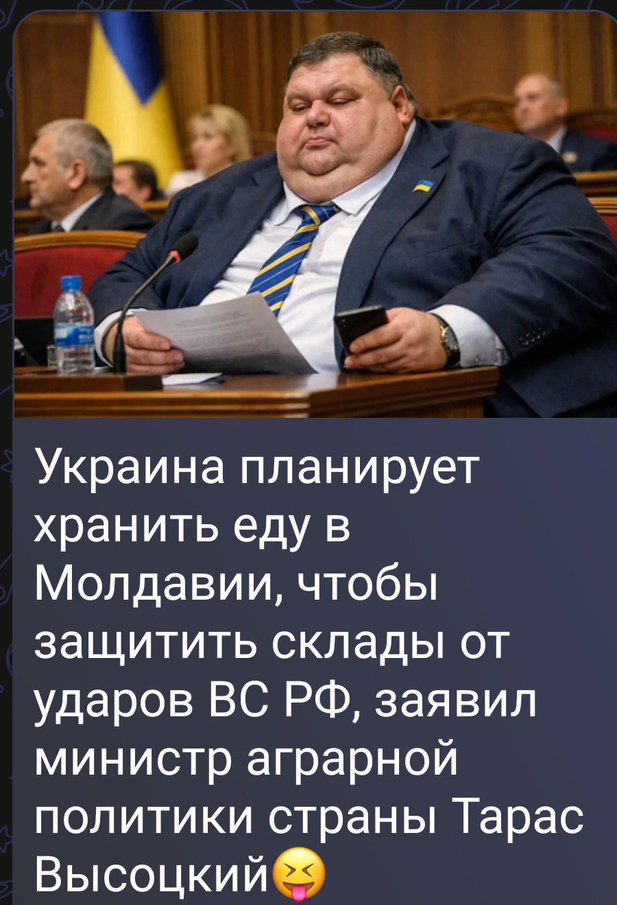 Украина планирует хранить еду в Молдавии, чтобы защитить склады от ударов ВС РФ, заявил министр аграрной политики страны Тарас Высоцкий