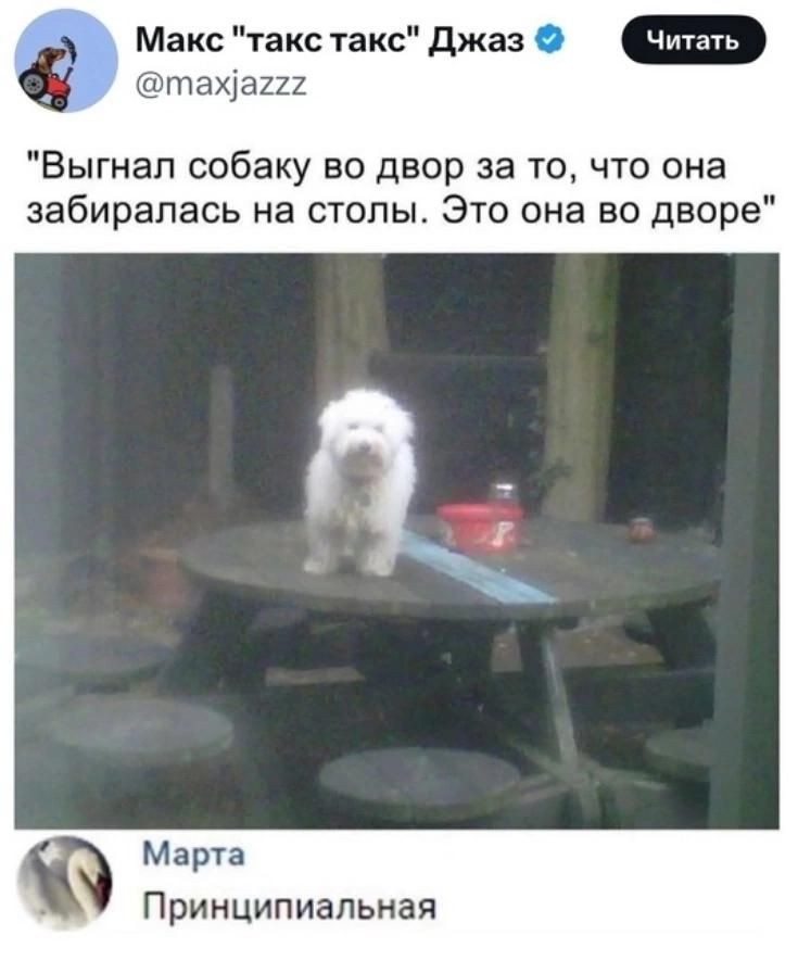 Макс 