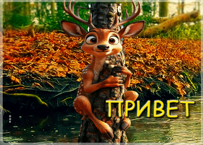 ПРИВЕТ