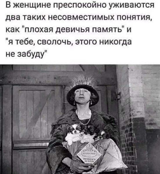 В женщине преспокойно уживаются два таких несовместимых понятия, как 