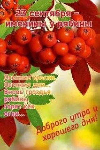 23 сентября - именины у рябины. Осенние краски, осенние дни... Вновь гроздья рябины горят как огни... Доброго утра и хорошего дня!