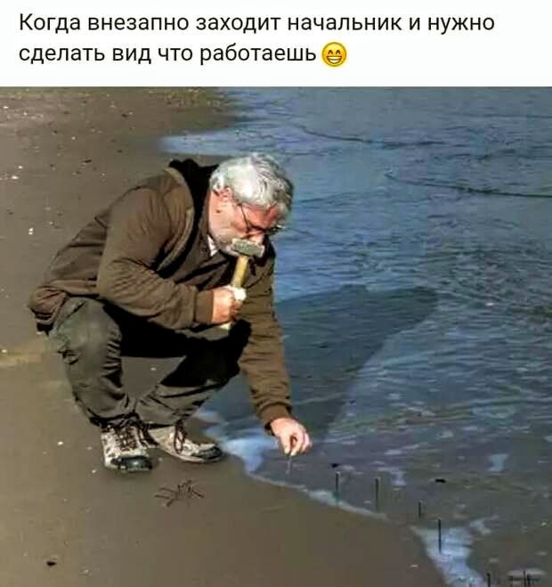 Когда внезапно заходит начальник и нужно сделать вид что работаешь