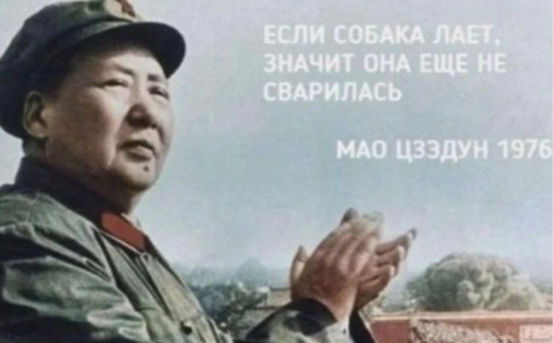 ЕСЛИ СОБАКА ЛАЕТ, ЗНАЧИТ ОНА ЕЩЕ НЕ СВАРИЛАСЬ МАО ЦЗЭДУН 1976