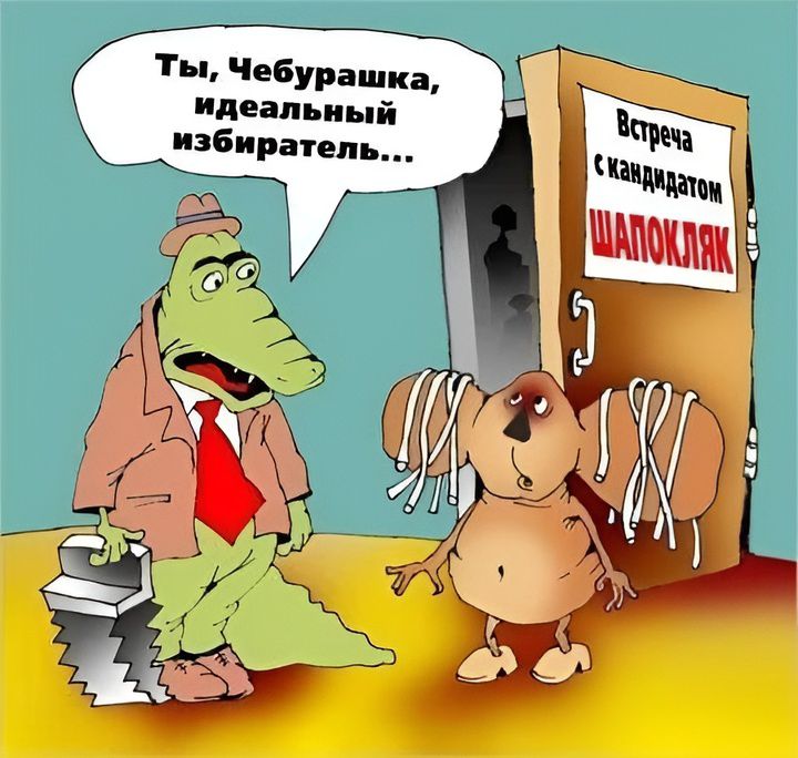 Ты, Чебурашка, идеальный избиратель... Встреча с кандидатом Шапокляк