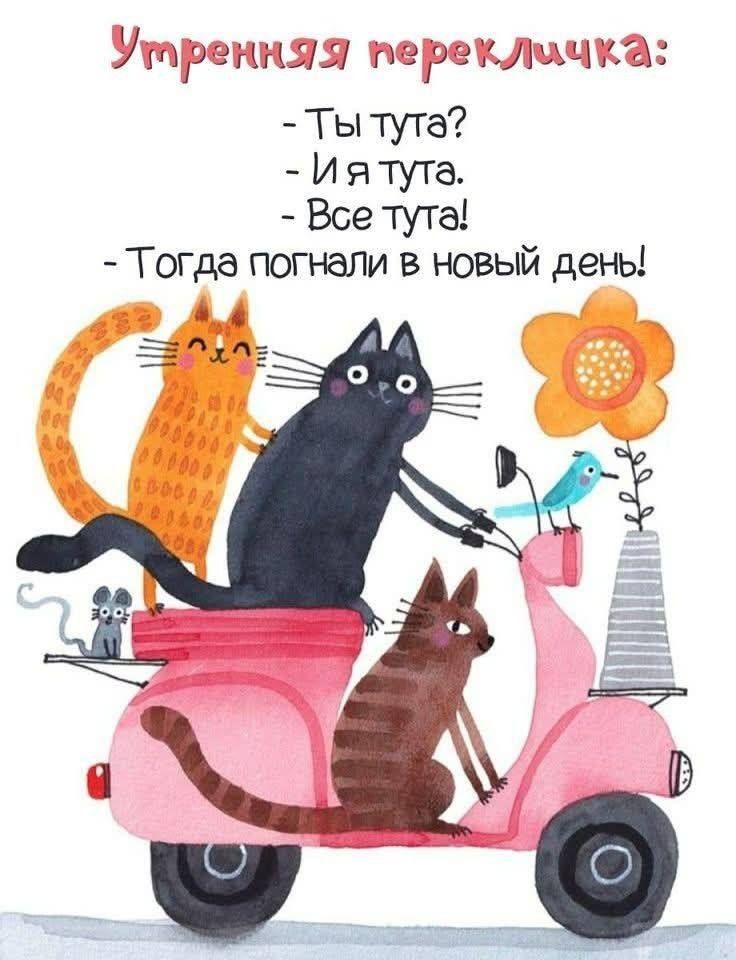 Утренняя перекличка: - Ты тута? - И я тута. - Все тута! - Тогда погнали в новый день!
