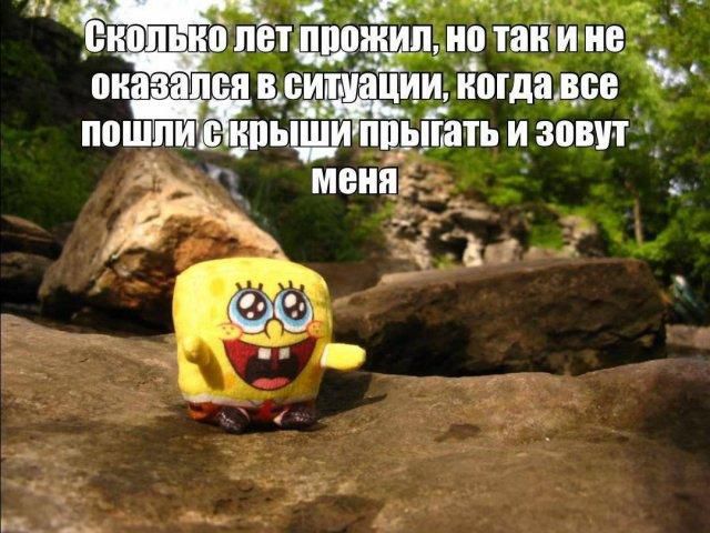 Сколько лет прожил, но так и не оказался в ситуации, когда все пошли с крыши прыгать и зовут меня