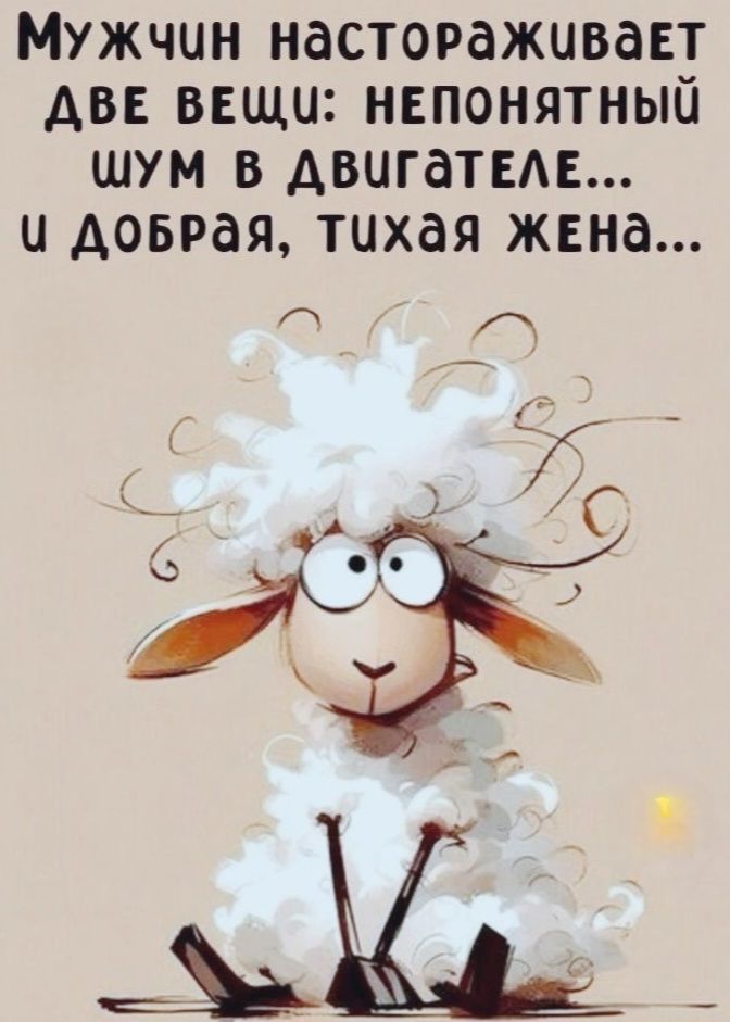 Мужчин настораживает две вещи: непонятный шум в двигателе... и добрая, тихая жена...