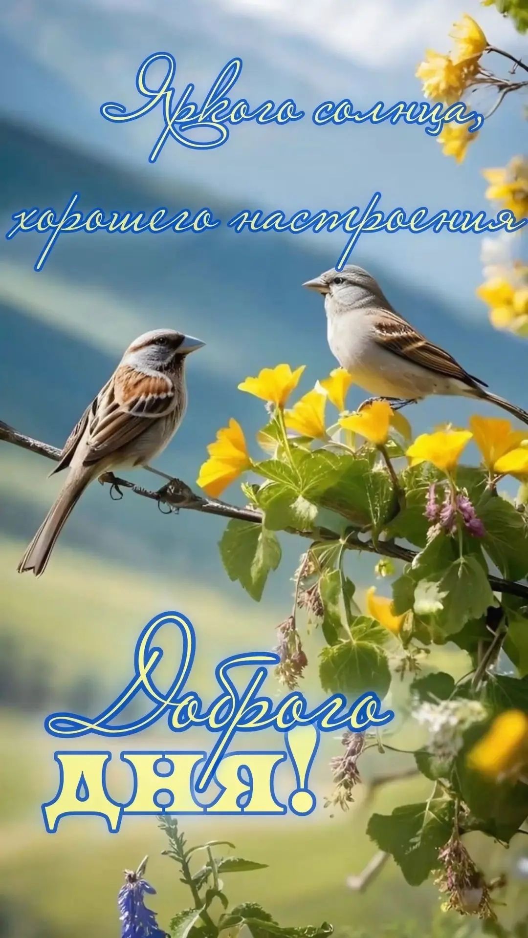 Яркого солнца, хорошего настроения. Доброго дня!