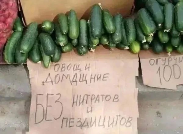 Овощи домашние без нитратов и пездицитов. Огурцы 100