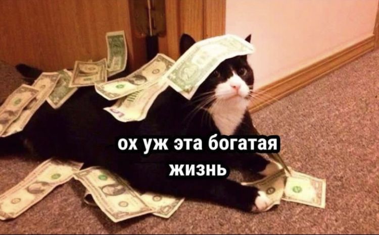 ох уж эта богатая жизнь