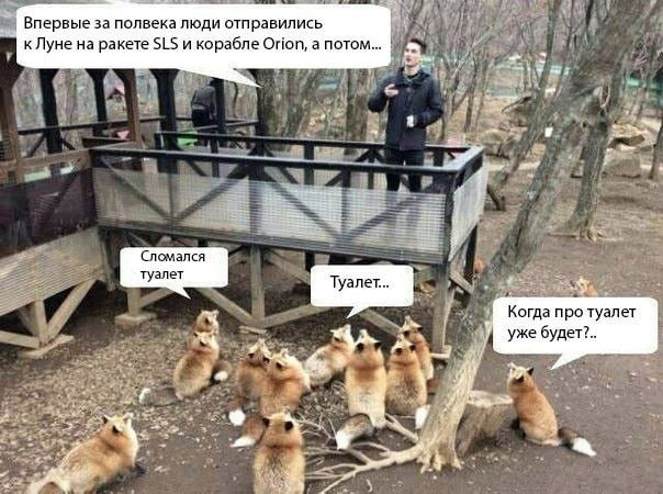 Впервые за полвека люди отправились к Луне на ракете SLS и корабле Orion, а потом... Сломался туалет. Туалет... Когда про туалет уже будет?..