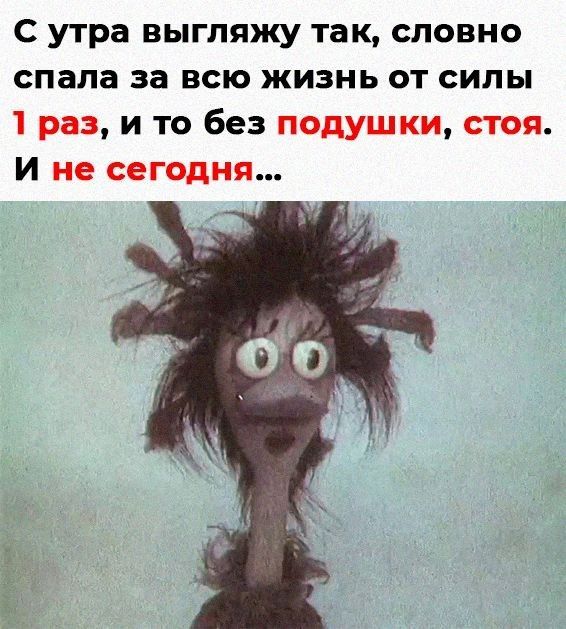 С утра выгляжу так, словно спала за всю жизнь от силы 1 раз, и то без подушки, стоя. И не сегодня...