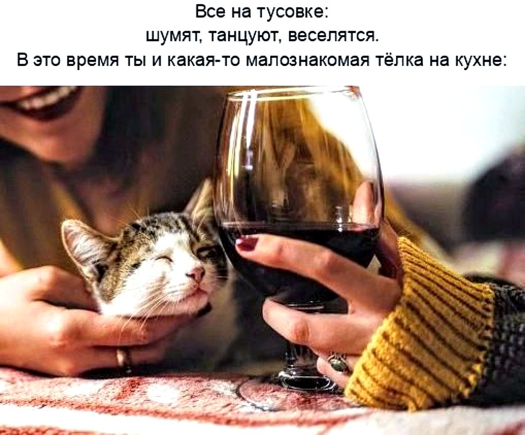 Все на тусовке: шумят, танцуют, веселятся. В это время ты и какая-то малознакомая тёлка на кухне: