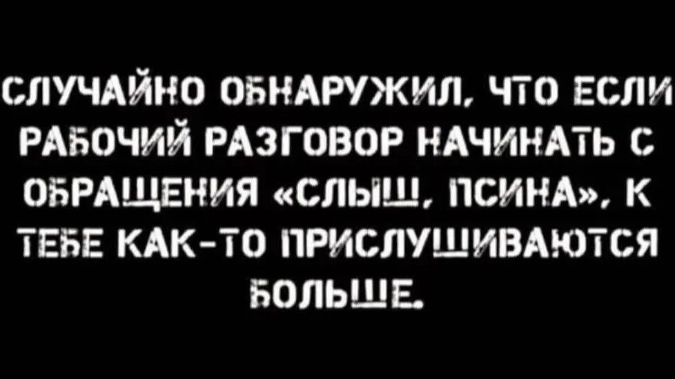 СЛУЧАЙНО ОБНАРУЖИЛ, ЧТО ЕСЛИ РАБОЧИЙ РАЗГОВОР НАЧИНАТЬ С ОБРАЩЕНИЯ «СЛЫШЬ, ПСИНА», К ТЕБЕ КАК-ТО ПРИСЛУШИВАЮТСЯ БОЛЬШЕ.