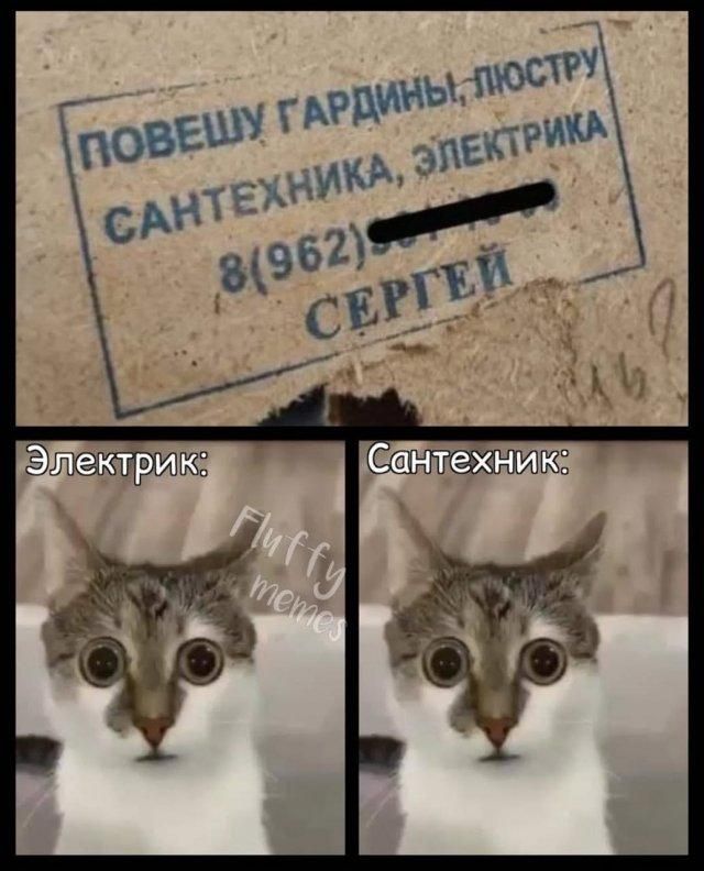 ПОВЕШУ ГАРДИНЫ, ЛЮСТРУ САНТЕХНИКА, ЭЛЕКТРИКА 8(962)... СЕРГЕЙ Электрик: Сантехник: