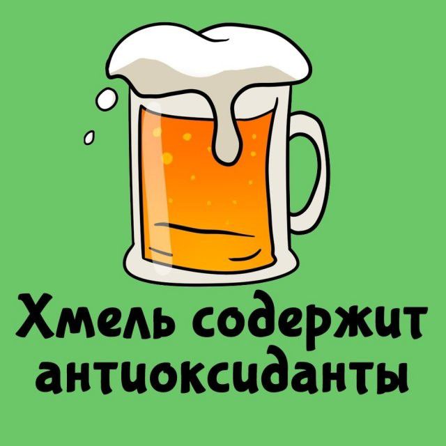 Хмель содержит антиоксиданты