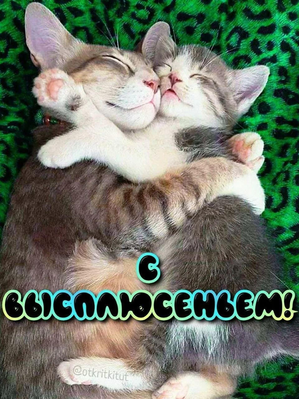 С ВЫСПАЛЮСЕМ!