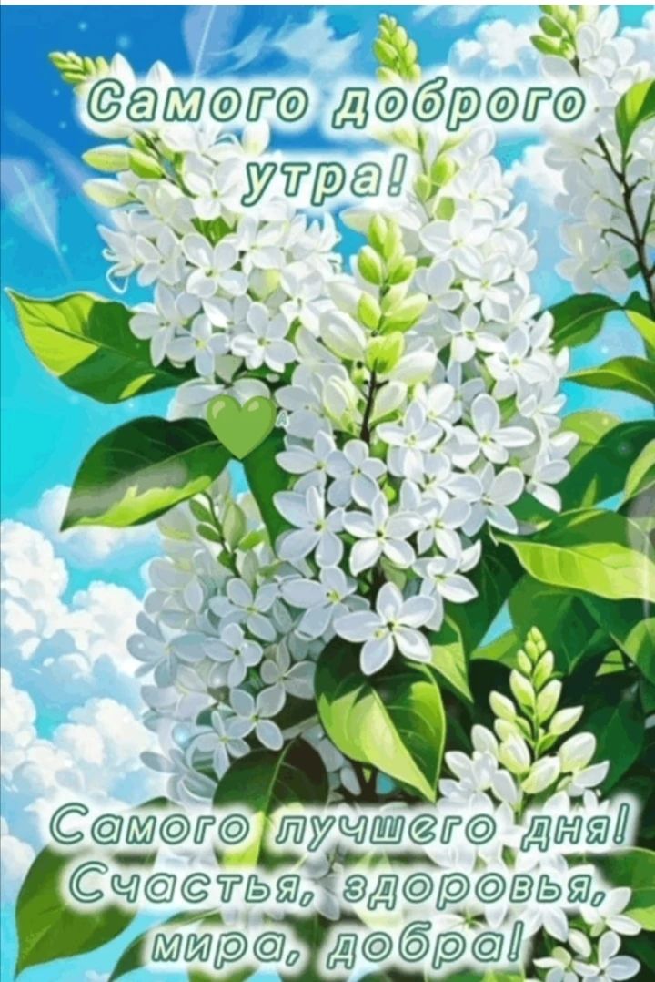 Самого доброго утра! Самого лучшего дня! Счастья, здоровья, мира, добра!