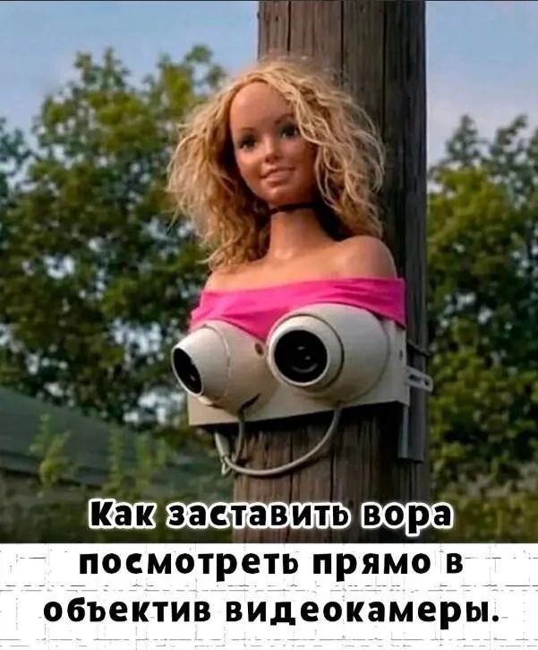 Как заставить вора посмотреть прямо в объектив видеокамеры.