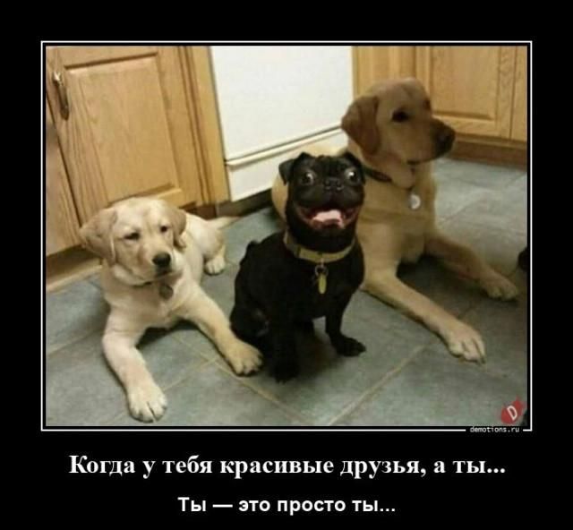 Когда у тебя красивые друзья, а ты... Ты — это просто ты...