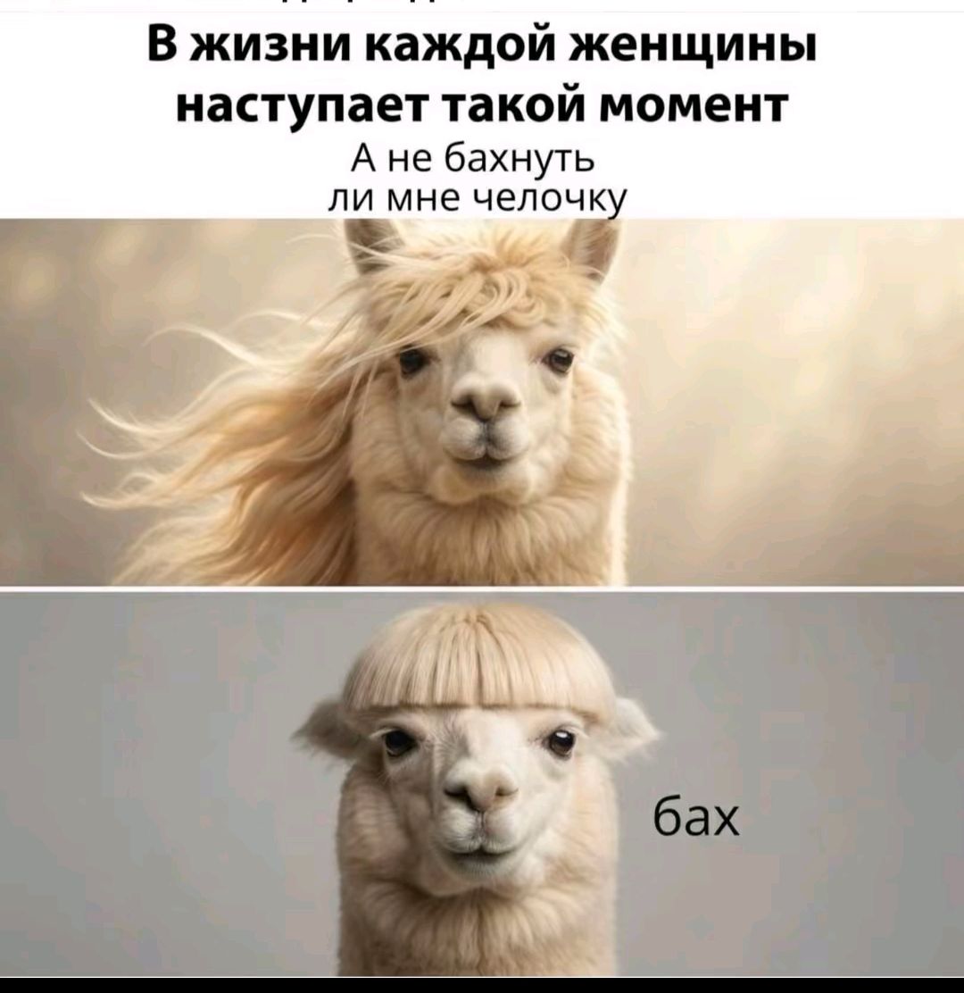 В жизни каждой женщины наступает такой момент А не бахнуть ли мне челочку. бах
