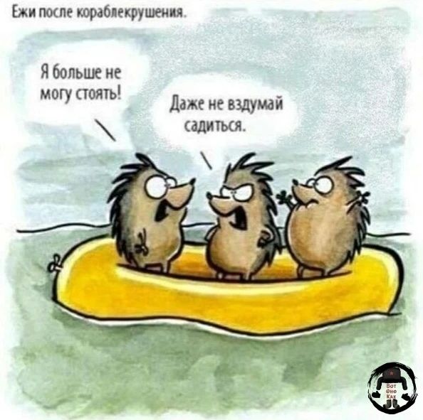 Ежи после кораблекрушения. Я больше не могу стоять! Даже не вздумай садиться.