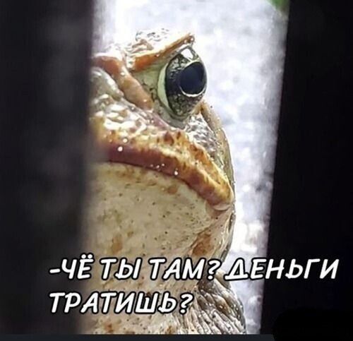 ЧЁ ТЫ ТАМ? ДЕНЬГИ ТРАТИШЬ?