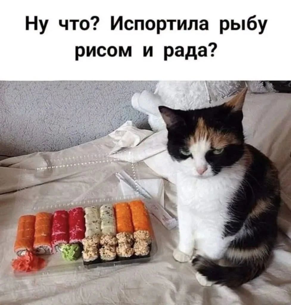 Ну что? Испортила рыбу рисом и рада?