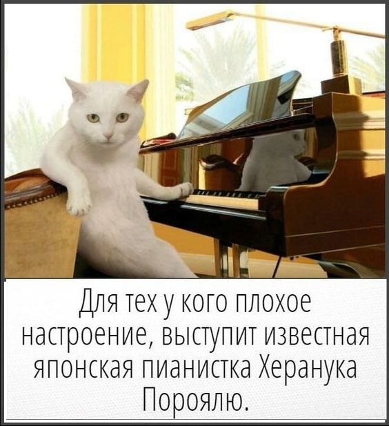 Для тех у кого плохое настроение, выступит известная японская пианистка Херанука Пороялю.