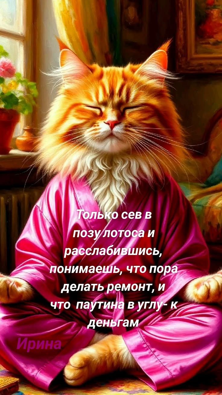 Только сев в позу лотоса и расслабившись, понимаешь, что пора делать ремонт, и что паутина в углу- к деньгам Ирина
