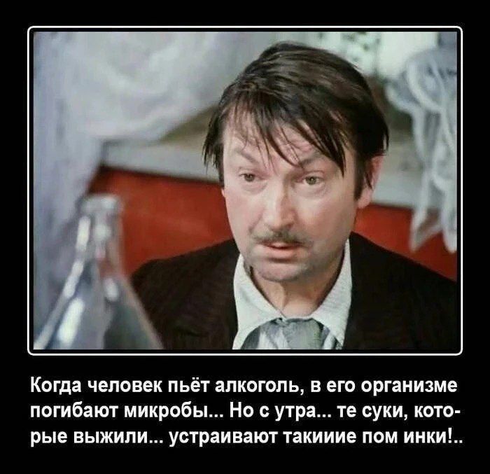 Когда человек пьёт алкоголь, в его организме погибают микробы... Но с утра... те суки, которые выжили... устраивают такииие пом инки!..