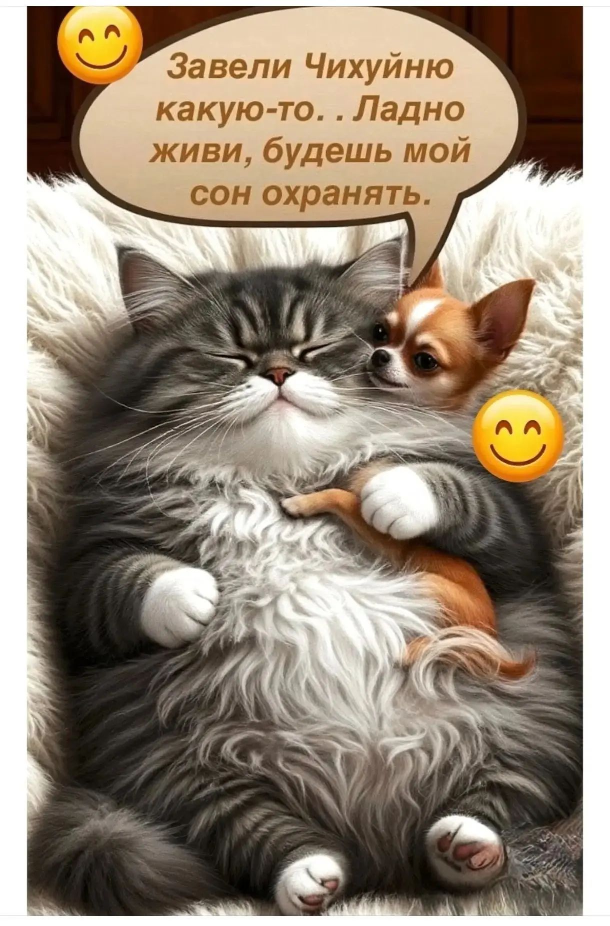 Завели Чихуйню какую-то.. Ладно живи, будешь мой сон охранять.