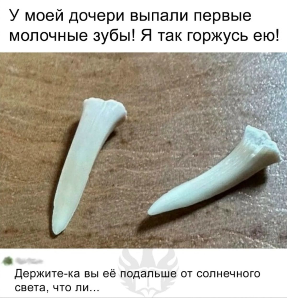 У моей дочери выпали первые молочные зубы! Я так горжусь ею! Держите-ка вы её подальше от солнечного света, что ли...