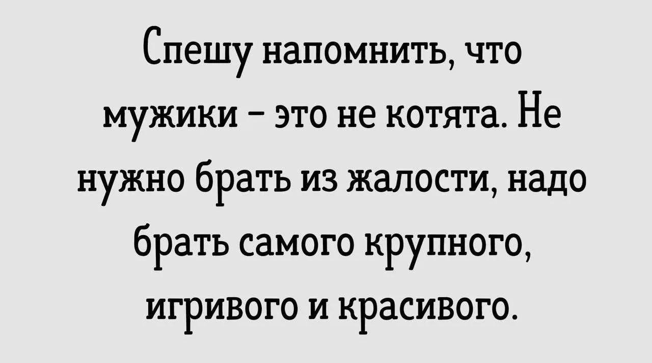 Спешу напомнить, что мужики – это не котята. Не нужно брать из жалости, надо брать самого крупного, игривого и красивого.